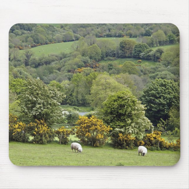 Tapis De Souris Irlande occidentale, presqu'île de Dingle, large (Devant)