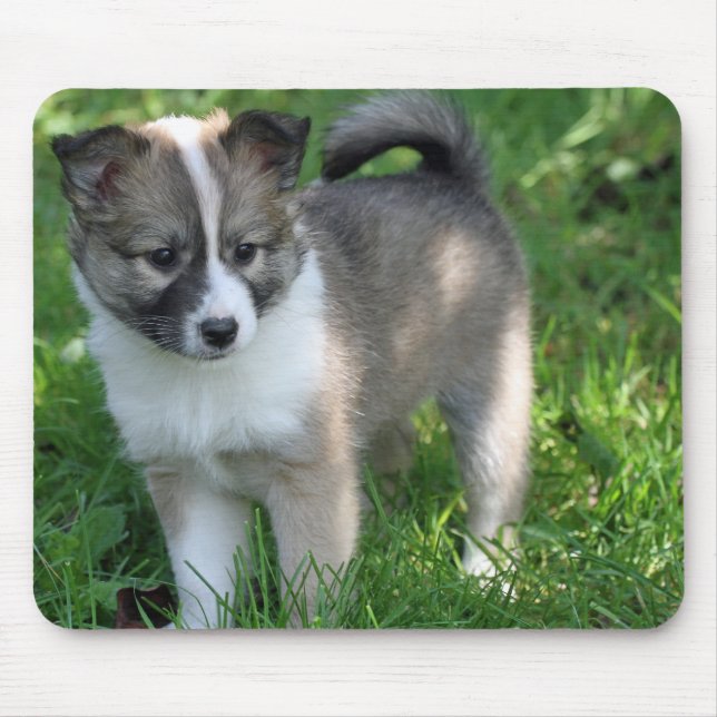 Tapis De Souris Islandhund (Devant)