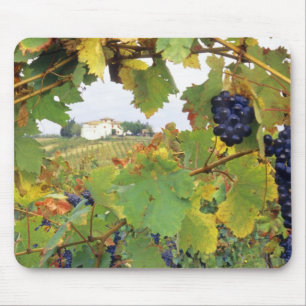 Tapis De Souris Italie, Toscane Ferme vue par