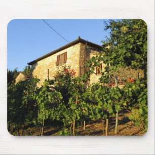 Tapis De Souris Italie, Toscane, Greve. Scènes de vin fin d'été
