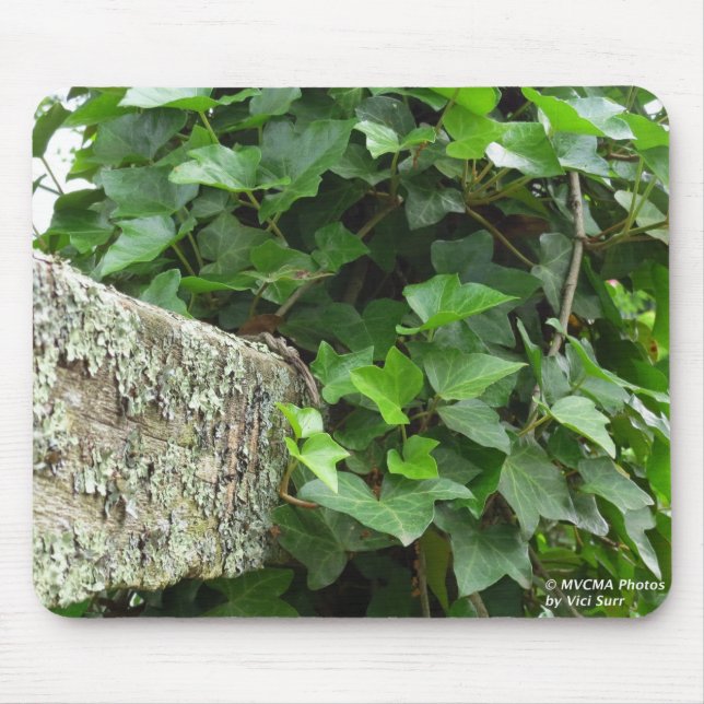 Tapis De Souris Ivy et Lichens - Martha's Vineyard (Devant)