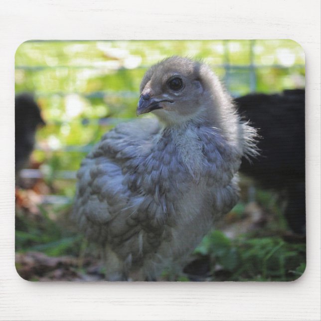 Tapis De Souris Jacinthe des bois (Devant)