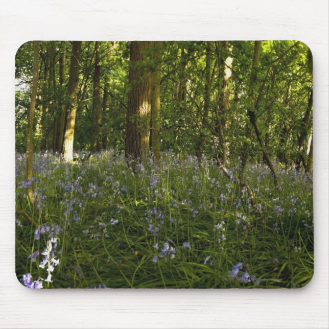 Tapis De Souris Jacinthes des bois dans une forêt (Devant)