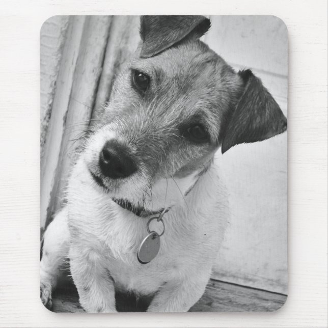Tapis De Souris Jack Russell Terrier (Devant)