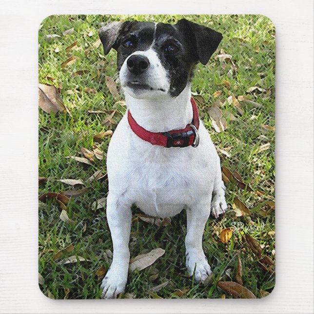 TAPIS DE SOURIS JACK RUSSELL TERRIER (Devant)