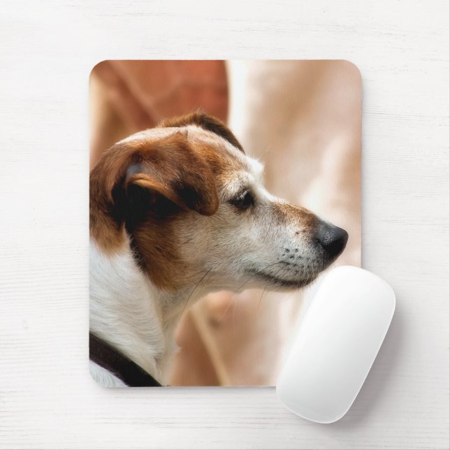 TAPIS DE SOURIS JACK RUSSELL TERRIER CHIEN (Avec souris)