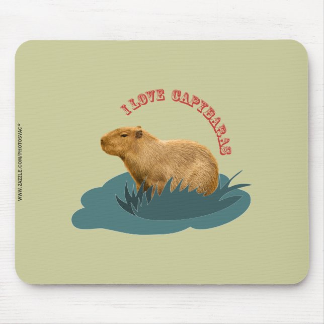 Tapis De Souris J'adore les capybaras (Devant)