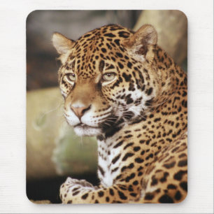 Tapis De Souris Jaguar Mousepad