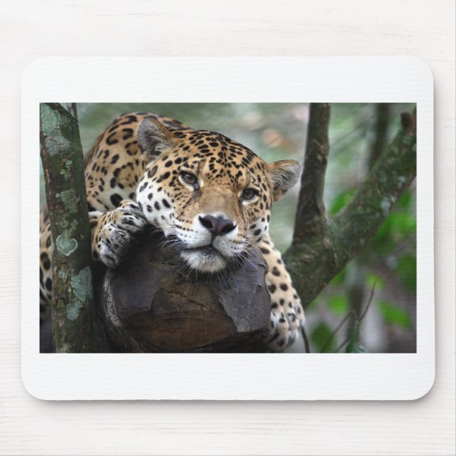 Tapis De Souris Jaguar sud-américain (Devant)