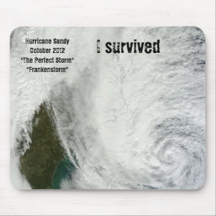Tapis De Souris "J'ai survécu à l'ouragan Sandy" Mousepad