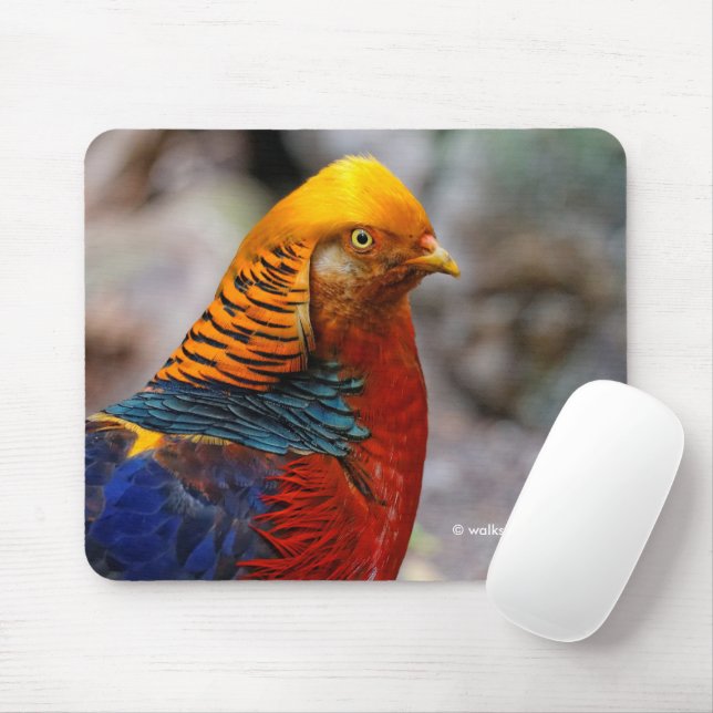 Tapis De Souris Jamebird rouge doré brillant (Avec souris)