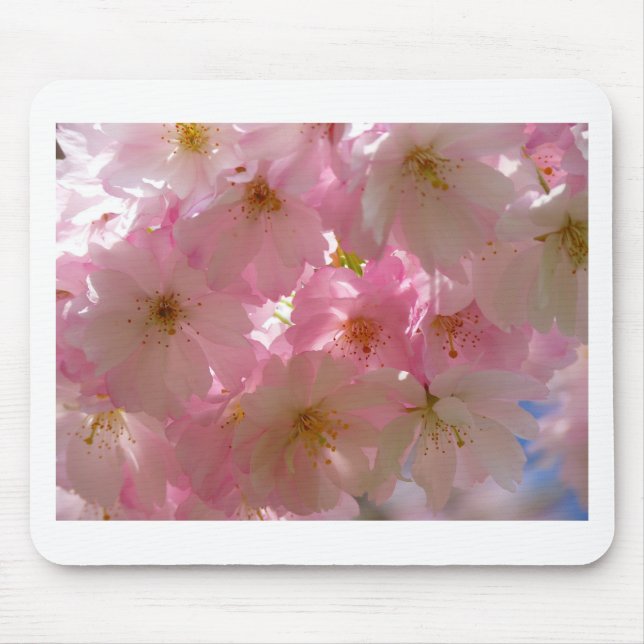 Tapis De Souris Japanese Cherry Blossom (Devant)