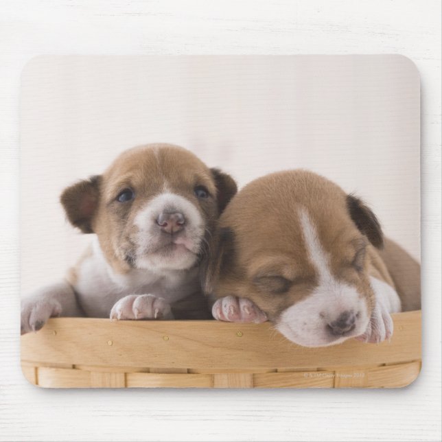 Tapis De Souris Japon (Devant)