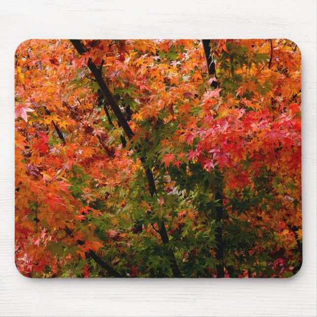 Tapis De Souris Japon Maples à l'automne (Devant)