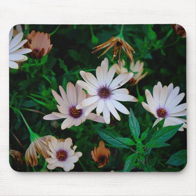 Tapis De Souris Jardin (Devant)