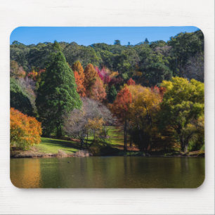 Tapis De Souris Jardin botanique d'automne Arbres colorés