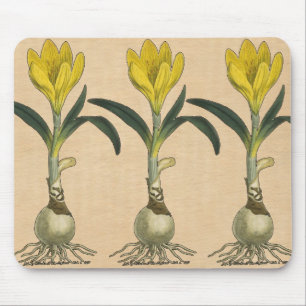 Tapis De Souris Jardin botanique de tulipe Amaryllis Fleur