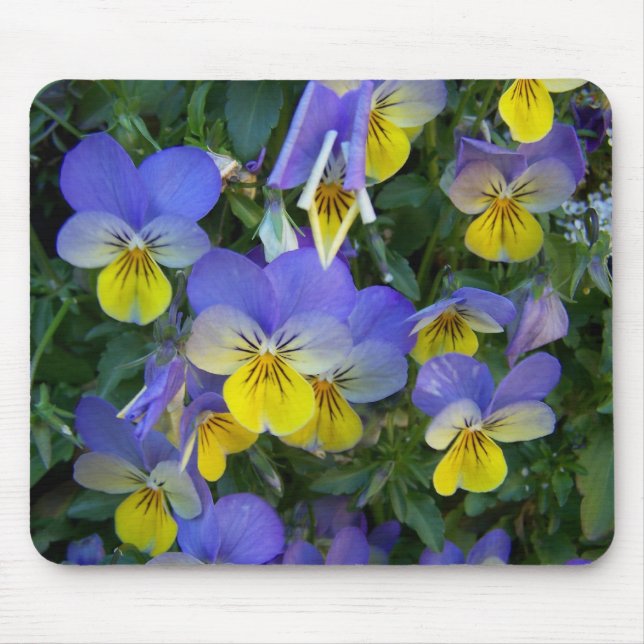 Tapis De Souris Jardin d'agrément (Devant)