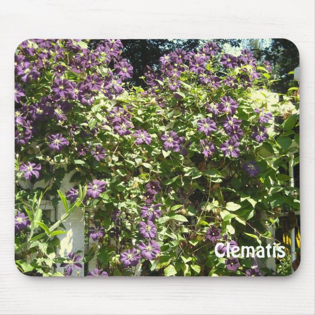 Tapis De Souris Jardin de clématites violettes (Devant)