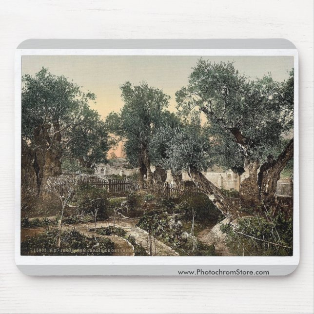 Tapis De Souris Jardin de Gethsemane, Jérusalem, classique de la (Devant)