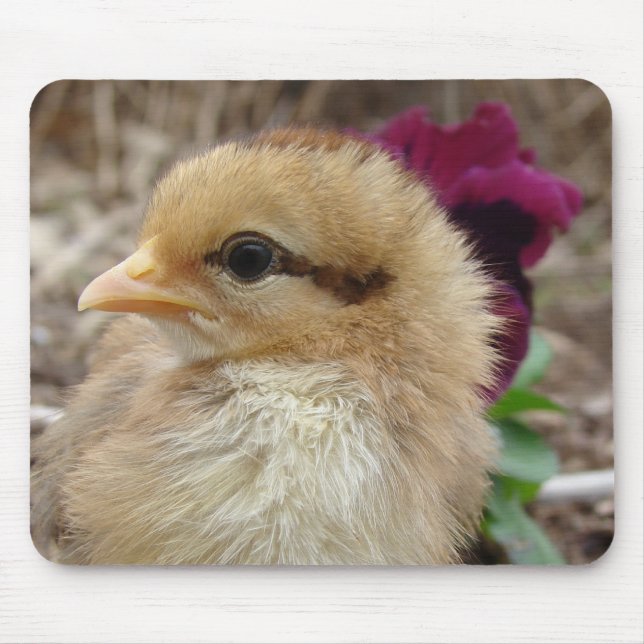 Tapis De Souris Jardin de Pansy (Devant)