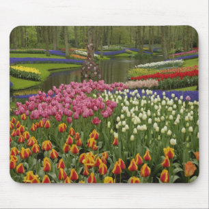 Tapis De Souris Jardin de Tulip et d'Hyacinth, jardins de Keukenho