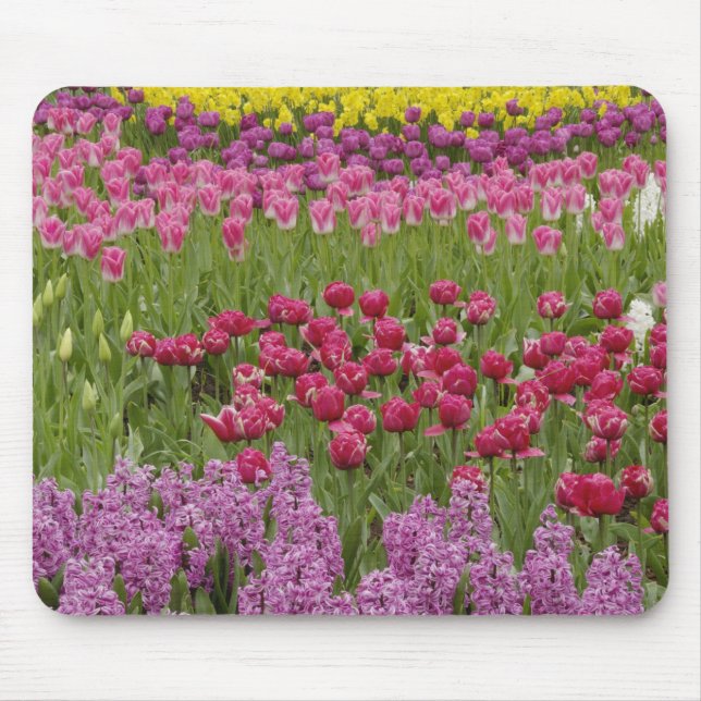 Tapis De Souris Jardin de tulipes, de jonquilles et de jacinthes (Devant)