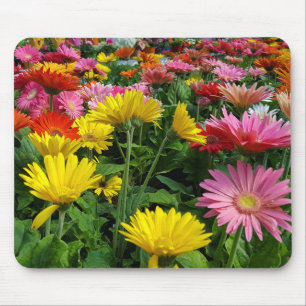 Tapis De Souris Jardin des marais de Gerbera