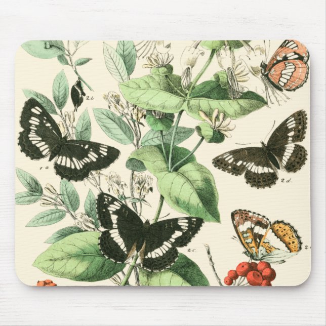 Tapis De Souris Jardin des papillons et des fleurs (Devant)
