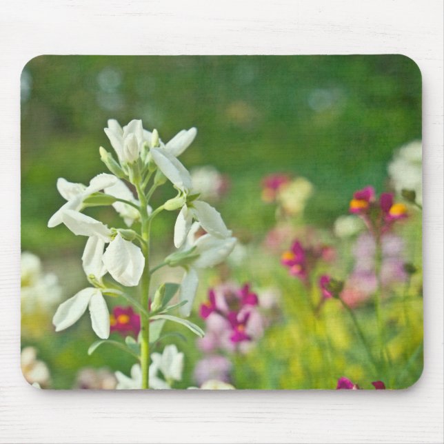 Tapis De Souris Jardin des parfums (Devant)