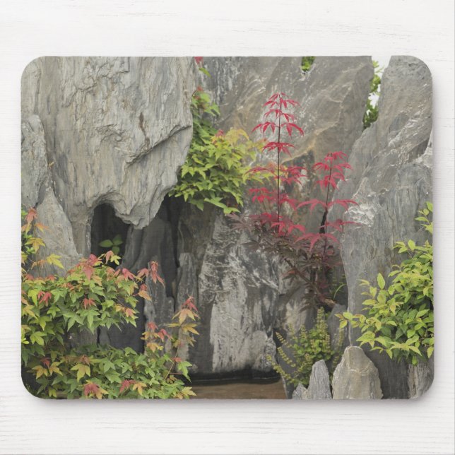 Tapis De Souris Jardin familial de Bao, Huangshan, Chine. (Devant)