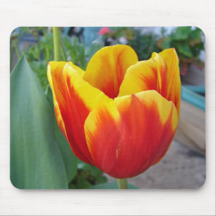 Tapis De Souris Jardin fleuri de la Tulipe rouge et jaune Photo