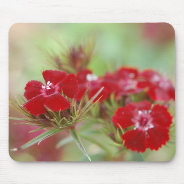 Tapis De Souris Jardin Floral Rouge Mousepad (Devant)