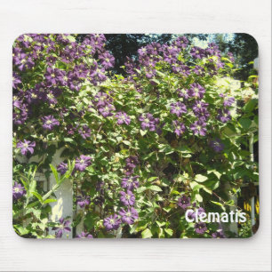 Tapis De Souris Jardin Purple Clematis