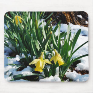 Tapis De Souris Jaune Daffodils fleurs dans la neige