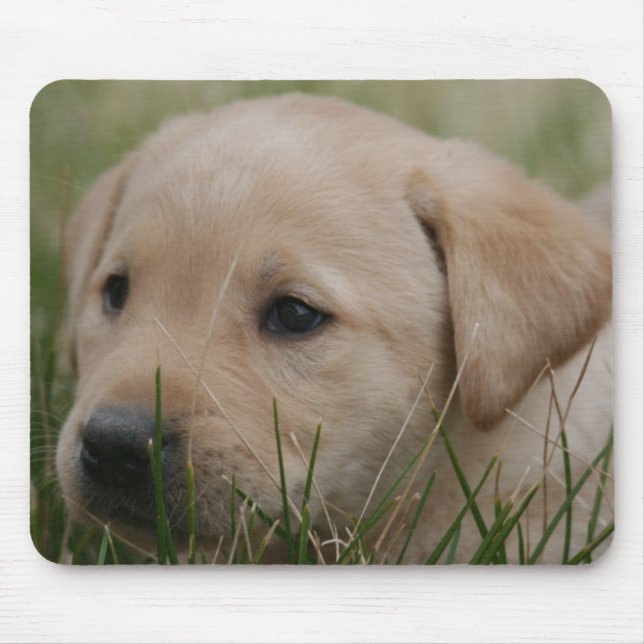 Tapis de souris jaune de labrador retriever (Devant)