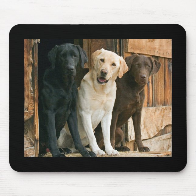 Tapis De Souris Jaune, noir, Brown Labrador Retriever Mousepad (Devant)
