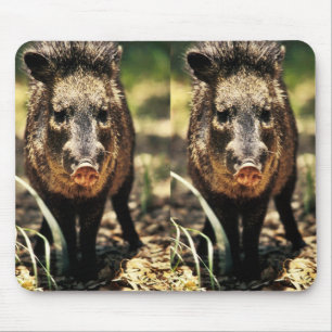 Tapis De Souris Javelina