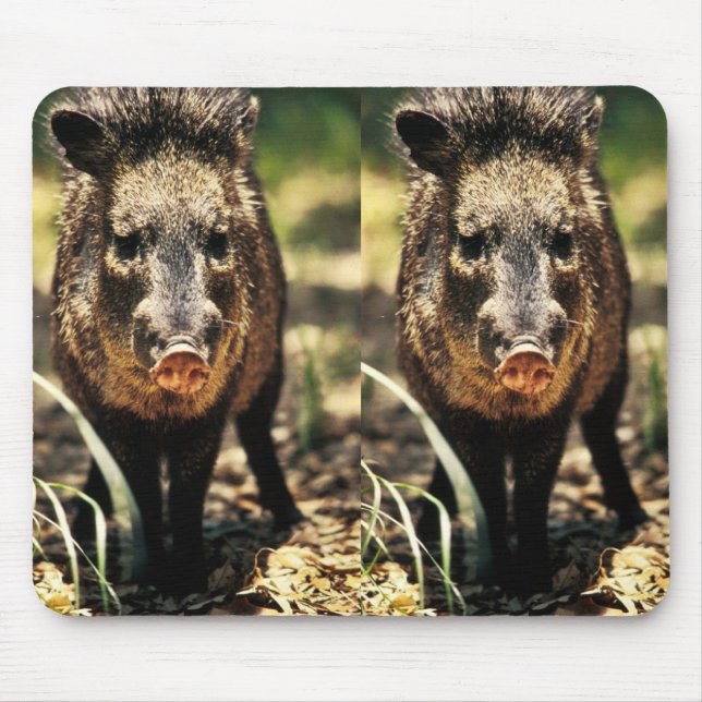Tapis De Souris Javelina (Devant)