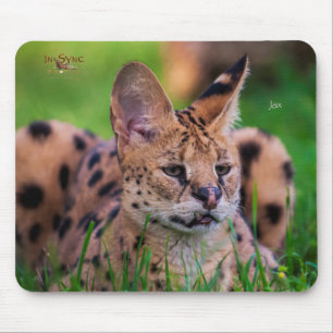 Tapis De Souris Jax