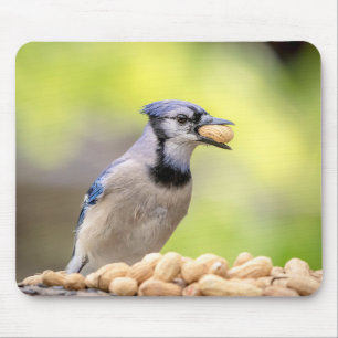 Tapis De Souris Jay bleu avec arachide