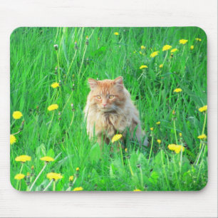 Tapis De Souris Je suis un lion dandy