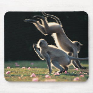 Tapis De Souris Jeu de singes