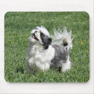 Tapis De Souris jeu de tzu de shih