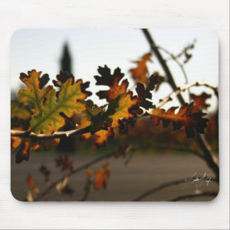 Tapis De Souris Jeune arbre de Nouveau d'art