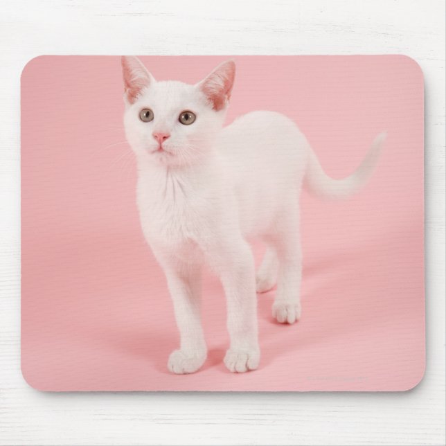 Tapis De Souris Jeune chat blanc 2 (Devant)