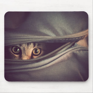 Tapis De Souris Jeune chaton tigré