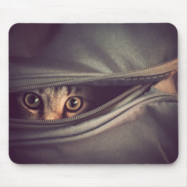 Tapis De Souris Jeune chaton tigré (Devant)