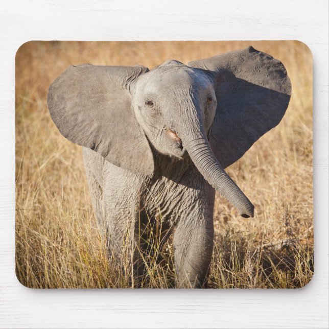 Tapis De Souris Jeune éléphant de savane (Devant)