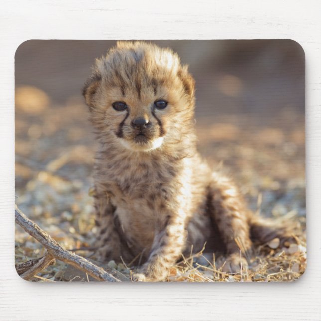 Tapis De Souris Jeune guépard mâle de 19 jours (Devant)